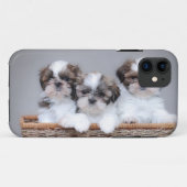 Coques Case-Mate iPhone Shih Tzu puppies (Dos (Horizontal))