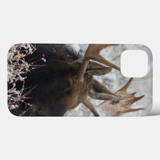 Coques Case-Mate iPhone Shiras Bull Moose (Verso (horizontal))