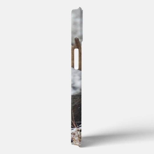 Coques Case-Mate iPhone Shiras Bull Moose (Verso / Droite)