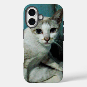 Coques iPhone 16 Siamese Chat Friend