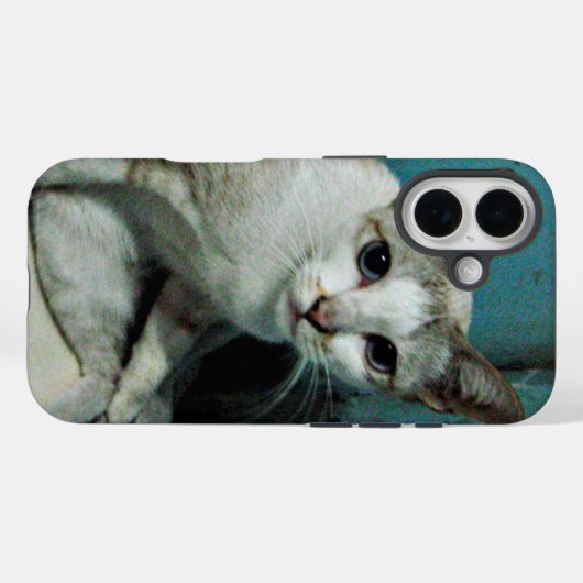 Coques Case-Mate iPhone Siamese Chat Friend (Verso (horizontal))