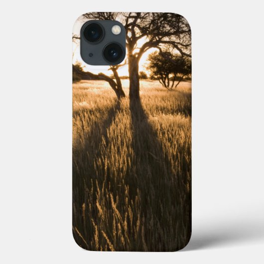 Coques Case-Mate iPhone Silhouette D'Acacia Dans L'Herbe. Mariental (Verso)