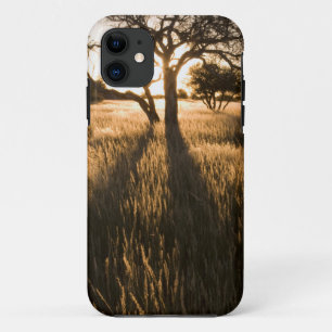 Coque Case-Mate Pour iPhone Silhouette de acacias dans l'herbe. Mariental
