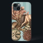 Case-Mate iPhone Case Silhouette Sea Life<br><div class="desc">Cet imprimé d'art présente les plus belles choses de la nature dans l'océan. Retrouvez tous les types de vie marine dans cette image, y compris un coquillage de coquillages, des dollars de sable et des récifs enterrés au fond de la mer. Cette collection d'art est un must dans vos prochains...</div>