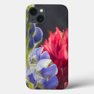 Etui iPhone 13 Silvery Lupine, Lavender Paintbrush