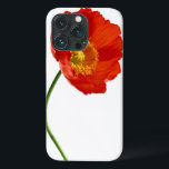 Coques Pour iPhone Simplicité du coquelicot rouge<br><div class="desc">Fleur de pavot rouge unique,  cadeau d'égouttage pour les amateurs de pavot. D'autres produits recherchent sous le même titre "Poppy Simplicity". Merci.</div>