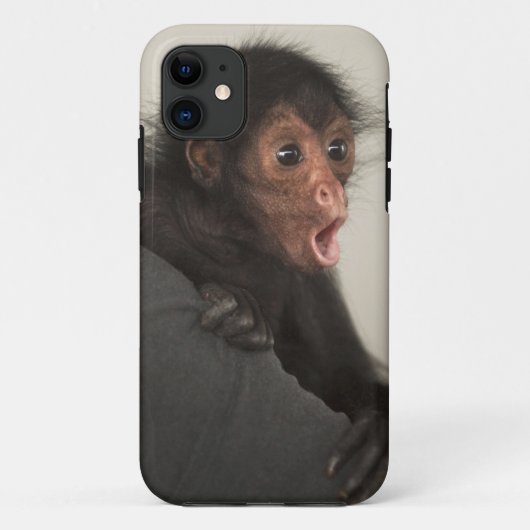 Coques Case-Mate iPhone Singe araignée à face rouge Ateles paniscus) (Dos)