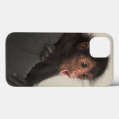 Coques Case-Mate iPhone Singe araignée à face rouge Ateles paniscus) (Verso (horizontal))