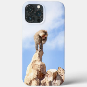Case-Mate iPhone Case Singe babouin au sommet d'une montagne