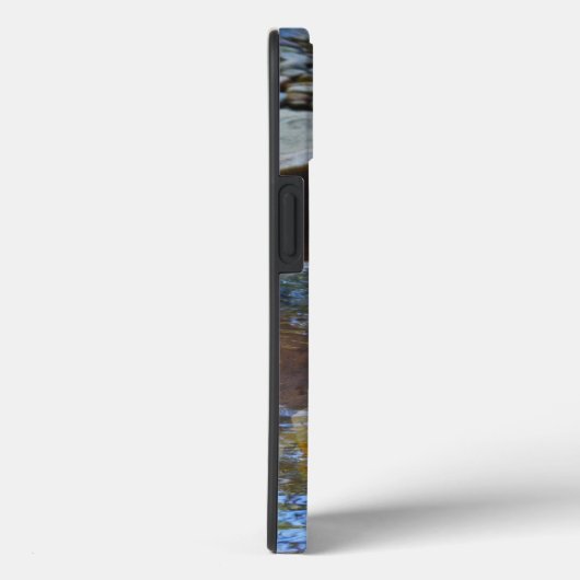 Coques Case-Mate iPhone **"Sips by the Stream : Otters Drinking from River (Verso / Droite)