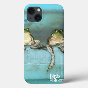 iPhone 13 Case Sitting Frogs