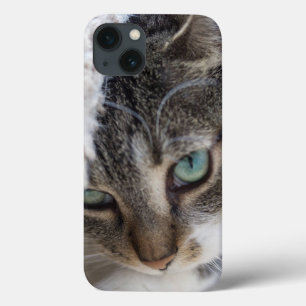Case-Mate iPhone Case Sleepy Kitty