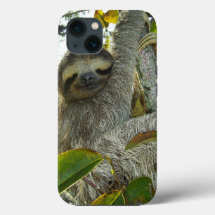Case-Mate iPhone Case Sloth