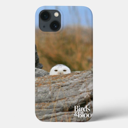 Coques Case-Mate iPhone Snowy owl (Verso)