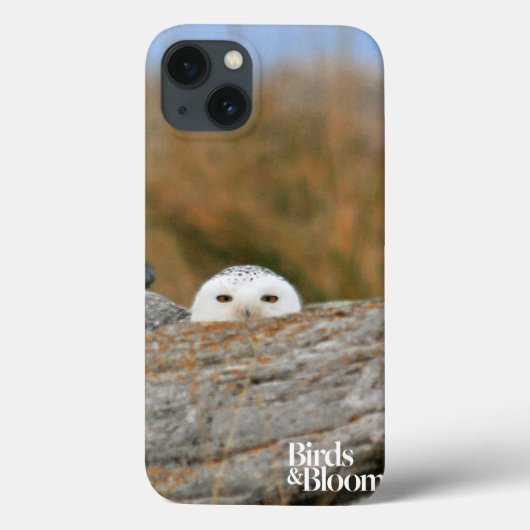 Coques Case-Mate iPhone Snowy owl (Verso)