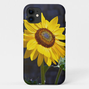Etui iPhone Case-Mate Solfette jaune