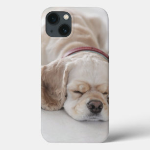 Coques Pour iPhone Sommeil de chien de cocker