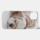 Coques Case-Mate iPhone Sommeil de chien de cocker (Verso (horizontal))