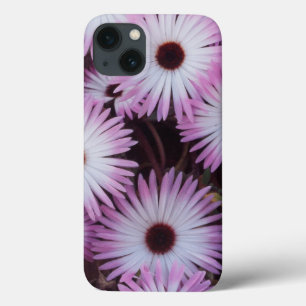 Coques Pour iPhone South Africa, Western Cape Province