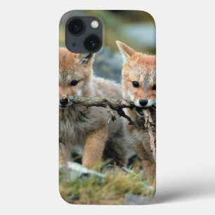iPhone 13 Coque South America, Chile, Torres del Paine National