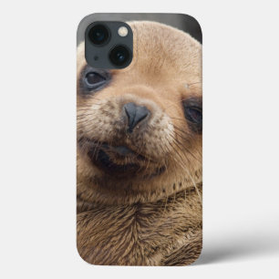 iPhone 13 Case South America, Ecuador, Galapagos Islands