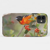Coques Case-Mate iPhone South Padre Island, Texas, USA, Baltimore Oriole (Dos (Horizontal))
