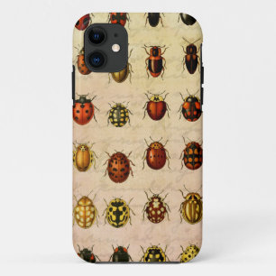 Case-Mate iPhone Case Spécimen de coccinelle vintage Motif Insecte antiq