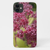 Coques Case-Mate iPhone Spirea rose (Dos)