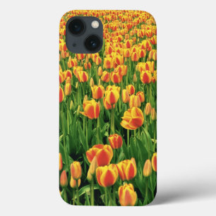 iPhone 13 Case Spring tulips bloom in front of old barn.