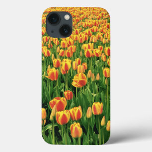 Etui iPhone Case-Mate Spring tulips bloom in front of old barn.