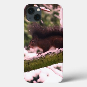 iPhone 13 Coque Squirrel Winter Photo iPhone 6/6, Tough Xtreme