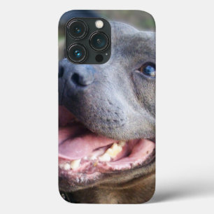 Case-Mate iPhone Case Staffordshire Bull Terrier heureux,