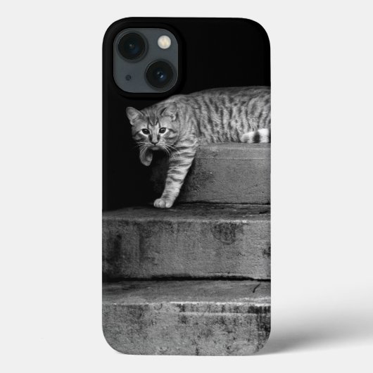 Coques Case-Mate iPhone Stray Cat sur Stairs (Verso)
