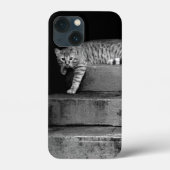 Coques Case-Mate iPhone Stray Cat sur Stairs (Verso)
