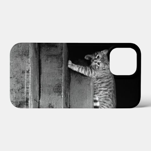 Coques Case-Mate iPhone Stray Cat sur Stairs (Verso (horizontal))