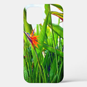Case-Mate iPhone Case Strelitzia Reginae & Feuilles