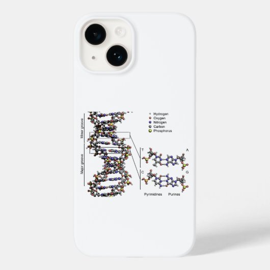 Coques Case-Mate iPhone Structure de l'ADN Diagramme des bases acides déso (Verso)