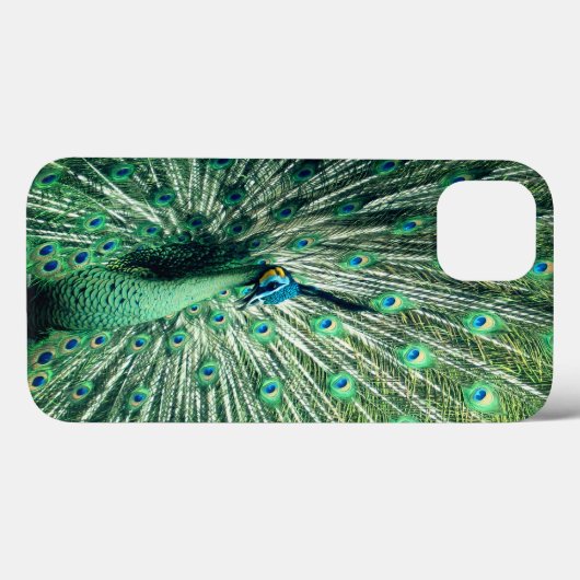 Coques Case-Mate iPhone Strut Peacock (Verso (horizontal))