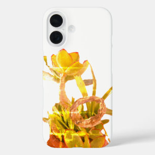Coques iPhone 16 style et design de l'iphone 16 pomme