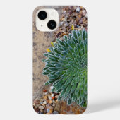 Coques Case-Mate iPhone Succulent plante du désert (Verso)