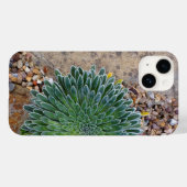 Coques Case-Mate iPhone Succulent plante du désert (Verso (horizontal))