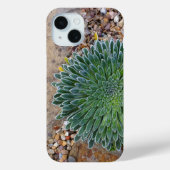 Coques Case-Mate iPhone Succulent plante du désert (Verso)