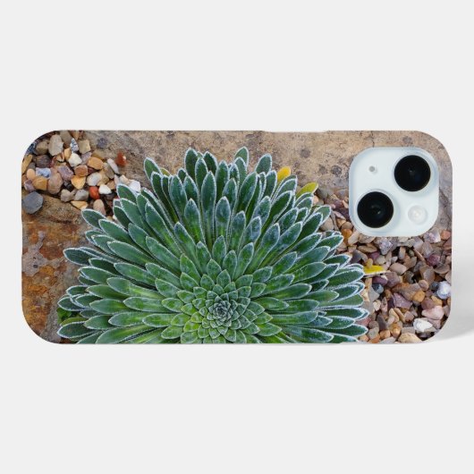 Coques Case-Mate iPhone Succulent plante du désert (Verso (horizontal))