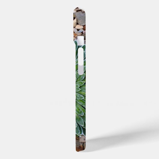 Coques Case-Mate iPhone Succulent plante du désert (Verso / Gauche)