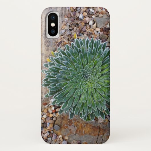 Coques Case-Mate iPhone Succulent plante du désert (Dos)