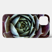 Coques Case-Mate iPhone Succulente violette en gros plan (Verso (horizontal))