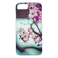 Succursale en fleurs de cerisier