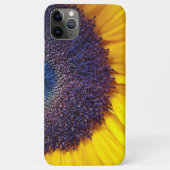 Coques Case-Mate iPhone Sunflower Closeup Barely There Phone Case (Dos)