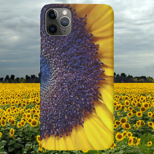 Case-Mate iPhone Case Sunflower Closeup Barely There Phone Case