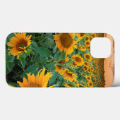 Coques Case-Mate iPhone Sunflower Field à Longmont, Colorado (Verso (horizontal))